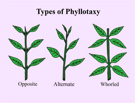 Explain with different types of examples, the different types of ...