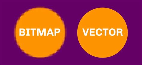 Vector Versus Bitmap Graphics | Plum Grove