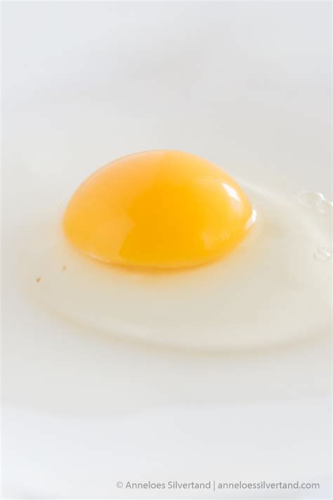 Raw Egg - Truthful Food