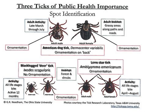 Ohio Tick | Research and outreach related to tick safety and disease ...