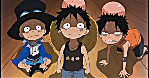 Who is Monkey D. Luffy's brother?