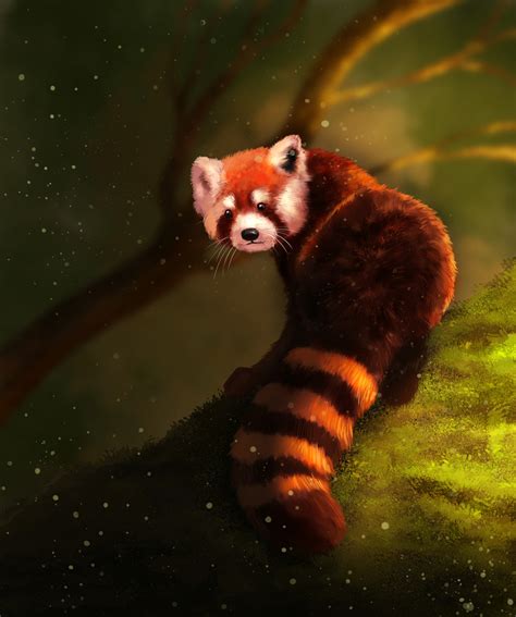 Red panda painting on Behance