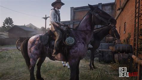 Mustang | RDR2 Horse Breeds Coats, Locations & Stats