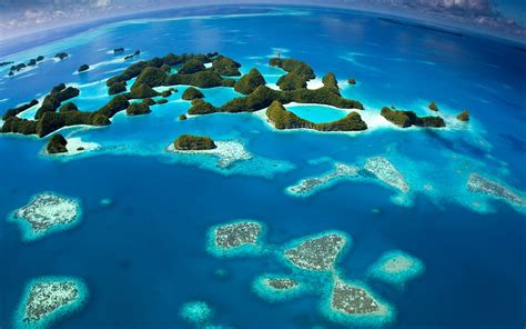 How Tourism Can Be Good for Coral Reefs