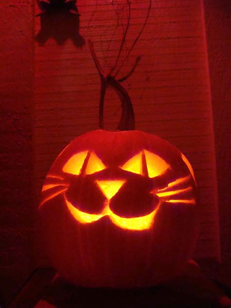 cat jack-o-lantern | Halloween | Pinterest