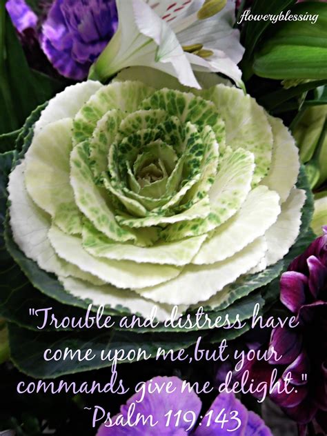 Flowery Blessing: "Trouble and distress have come upon me, but Your ...