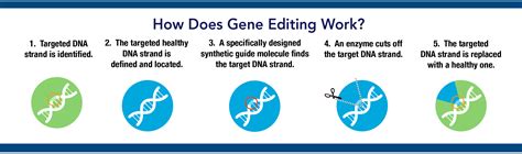 Producer Shares Views on Gene Editing - Pork Checkoff