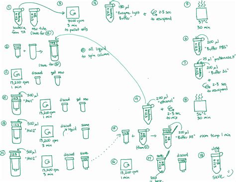 Resources: Drawing flowcharts of lab protocols helps students prepare ...