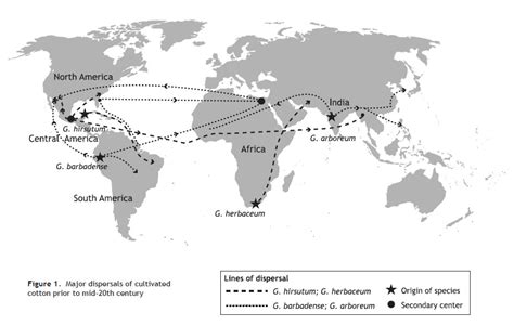 Cotton Fiber Development and Processing an Illustrated Overview