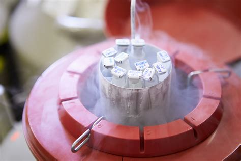 What is the procedure for Embryo Cryopreservation?