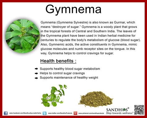 #Health benefits of #Gymnema #Ayurveda #SandhuProducts #Livermore www ...