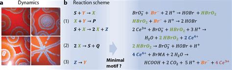 Belousov-Zhabotinsky (BZ) reaction. (a) Classical example of pattern ...