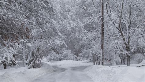 Michigan Snowfall Totals for Winter Storm Stella | Heavy.com