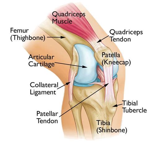 Swirlster First: Pain In Kneecap