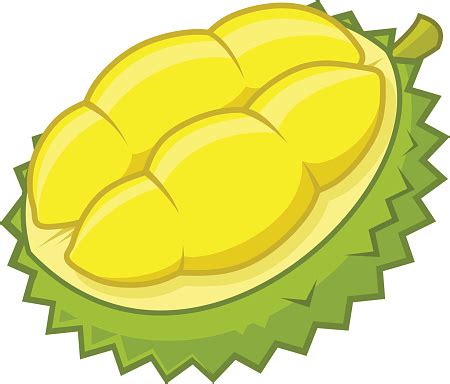 Durian Cartoon Vector Illustration Stock Illustration - Download Image ...