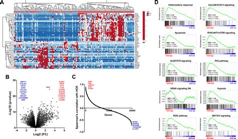 Comprehensive analysis of the HCK gene in myeloid neoplasms: Insights ...