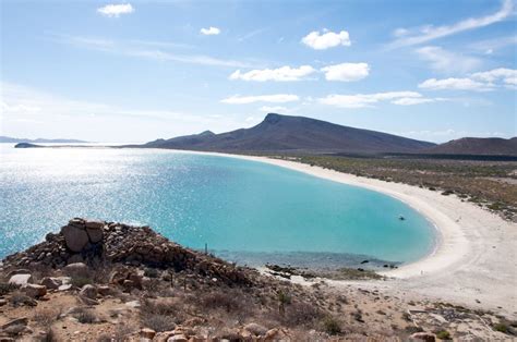 Isla Espiritu Santo Diving and Los Islotes - Nautilus Adventures