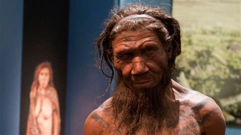 Scientists find first evidence of Neanderthal DNA in modern Africans ...