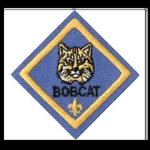 Bobcat Badge Cub Scout Helps and Documents – Scouter Mom