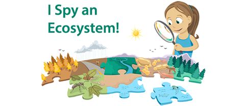 Ecosystem | Ask A Biologist