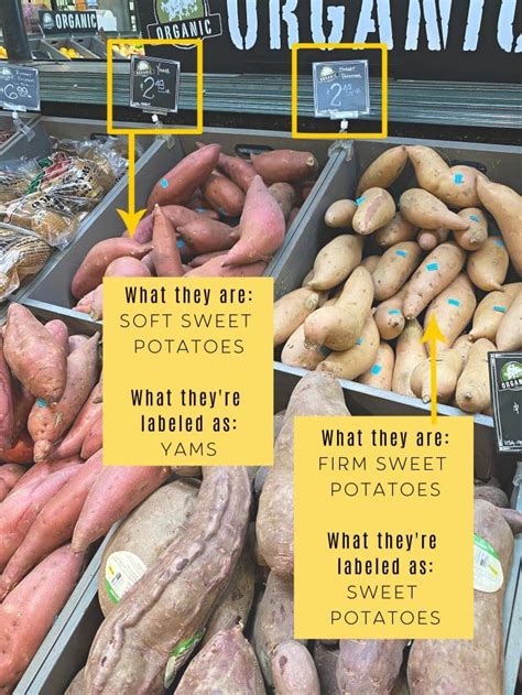 Yams vs. Sweet Potatoes: What's the Difference? - The Forked Spoon