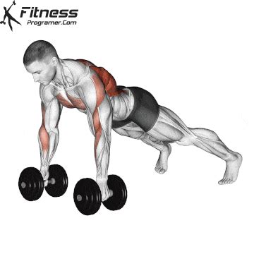 Dumbbell Renegade Row » Workout Planner