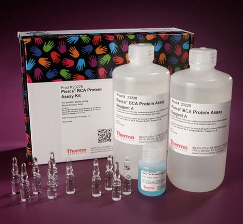 Pierce BCA Protein Assay Kit - Thermo Fisher Scientific