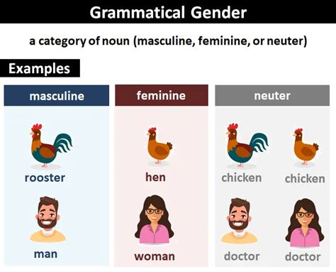 Feminine Gender: Explanation and Examples