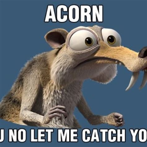 Scrat Memes - Funny Memes