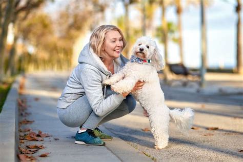 9 Best Dog Walking Apps: Get Paid To Walk Dogs In 2024