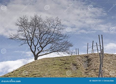 Landscape Near Murnau in Upper Bavaria Stock Image - Image of path ...