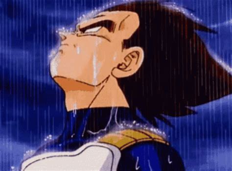 Vegeta Raining GIF - Vegeta Raining Rain - Discover & Share GIFs