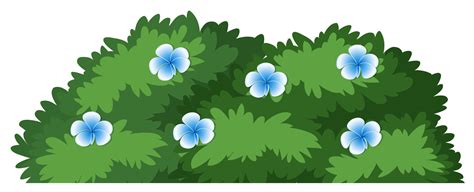 Isolated flower bush on white background 447982 Vector Art at Vecteezy