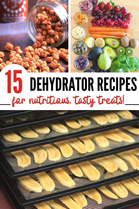 Dried Fruit + More Tasty Food Dehydrator Recipes