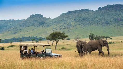 How To Book A Masai Mara Safari | Maasai Mara National Reserve