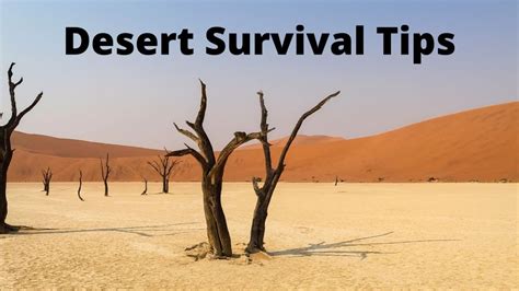 Desert Survival Tips - YouTube