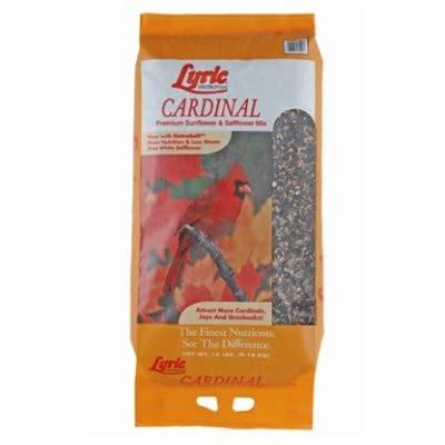 Best Cardinal Bird Seed Mix:Find The Perfect Balance Of Nutrition