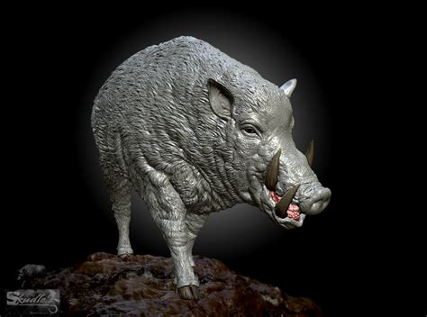 Wild Boar In Concern Situation. - ZBrushCentral