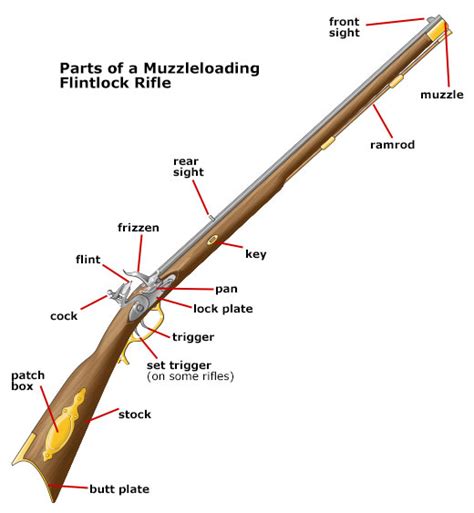 Parts of a Muzzleloader Firearm