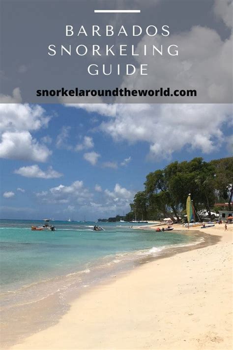 Snorkeling in barbados best beaches to snorkel – Artofit