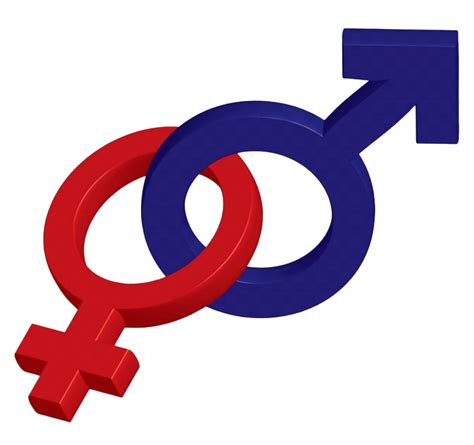 Gender PNG Transparent Images