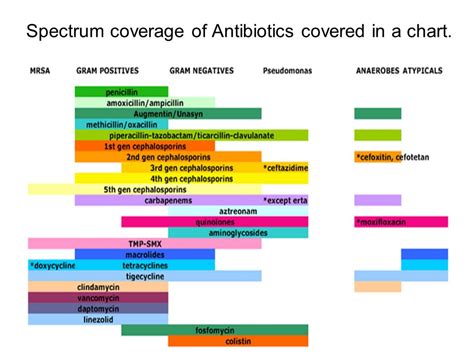 Types of broad spectrum antibiotics