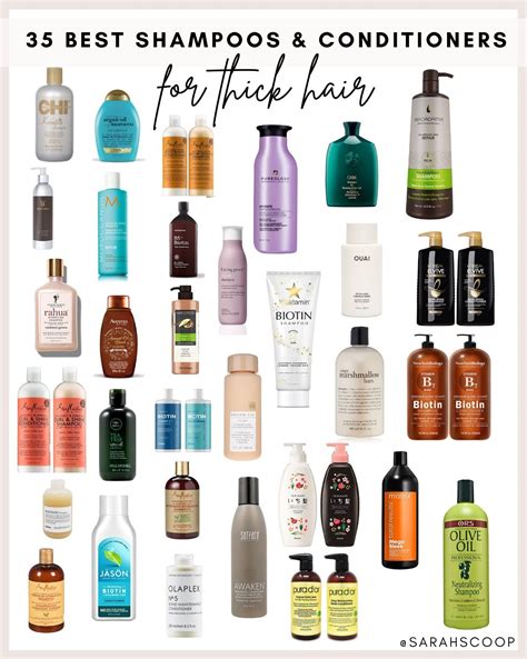 Best Shampoo Brands For Dry And Frizzy Hair at Kelly Kittrell blog