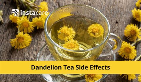 5 Dandelion Tea Side Effects