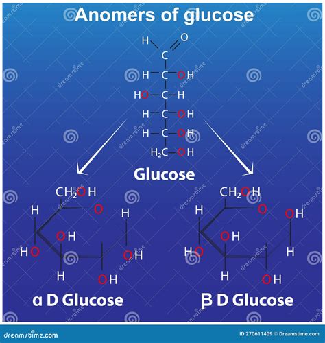 Anomers of Glucose Pyranose Alpha D Glucose Stock Vector - Illustration ...