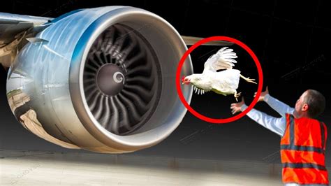 This Is How Airplane Engines Are Tested - YouTube