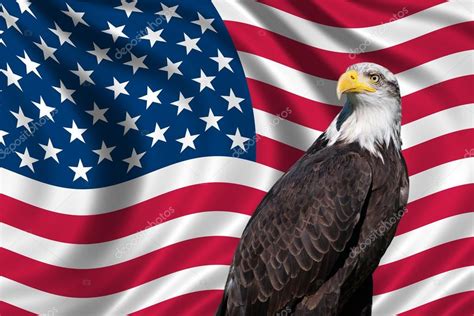 Usa flag bald eagle | USA Flag with bald eagle — Stock Photo ...