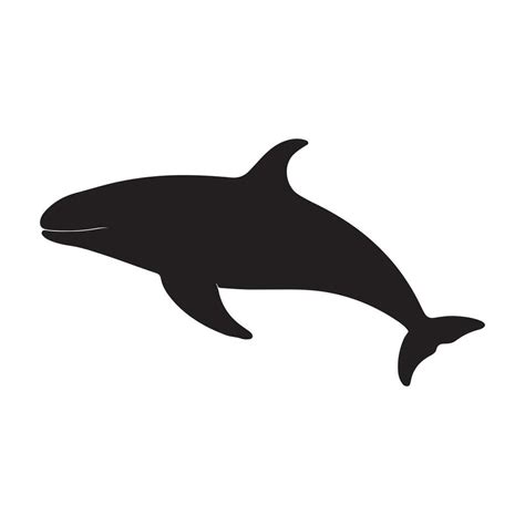 whale silhouette Vector 29193066 Vector Art at Vecteezy