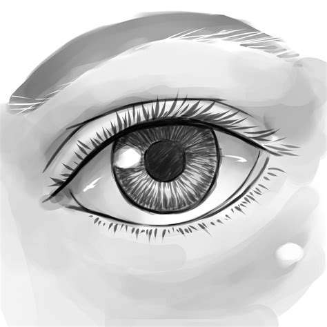 How to Draw a Human Eye | Eye drawing, Drawings, Human drawing