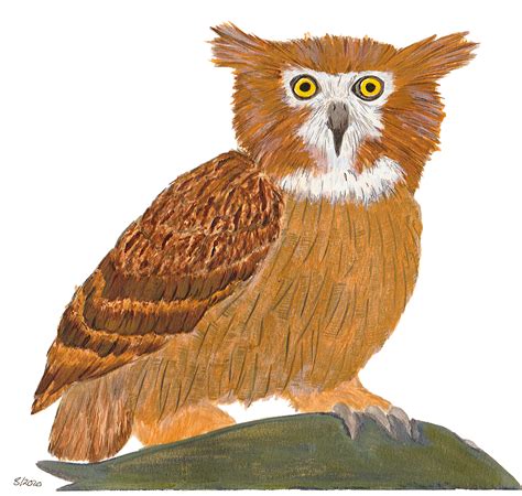 See Our Painting of Blakiston's Fish Owl - Shanghai Birding 上海观鸟